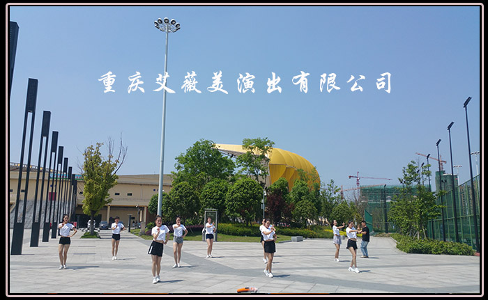 领航国际官方网站图片
