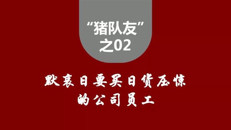 领航国际 a4033