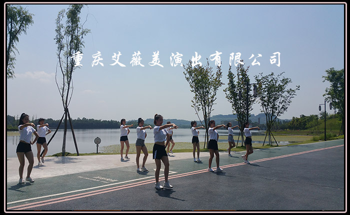 领航国际官方网站图片