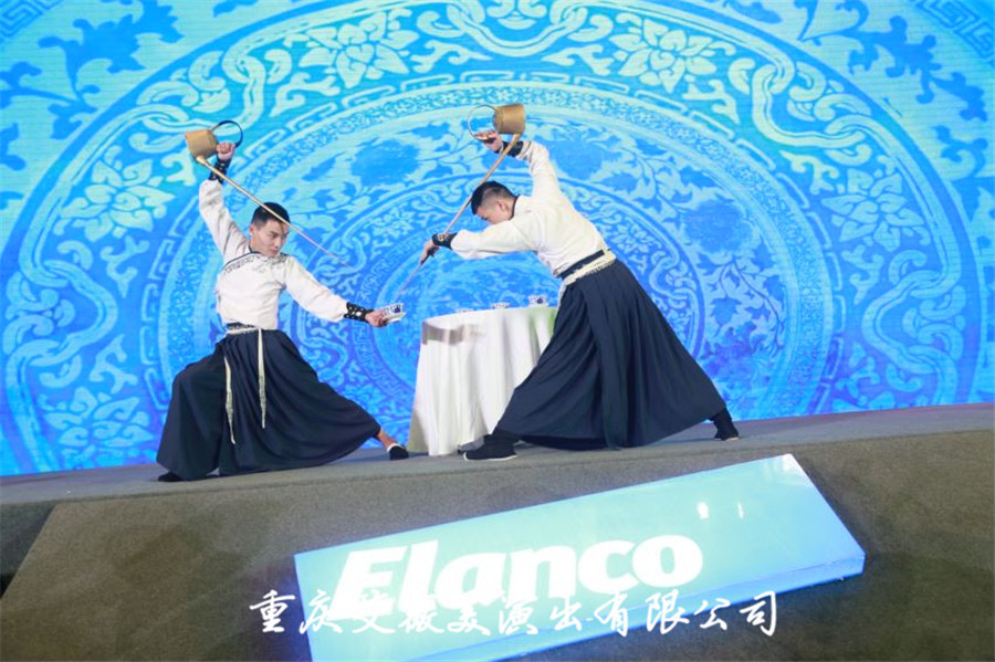 领航国际官方网站图片