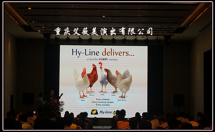 领航国际官方网站图片