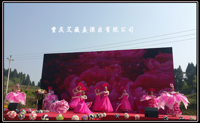 领航国际官方网站图片