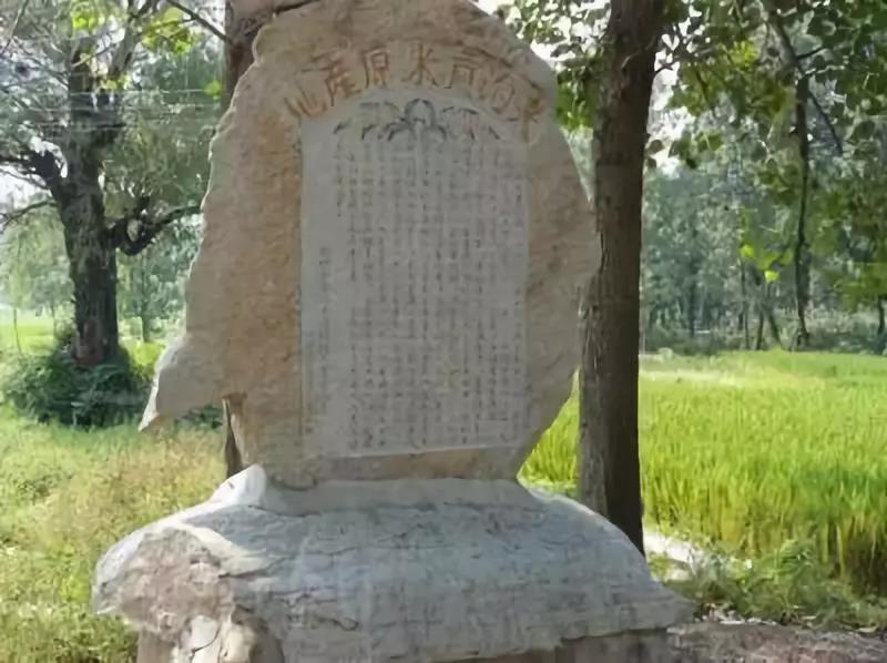 领航国际官方网站图片