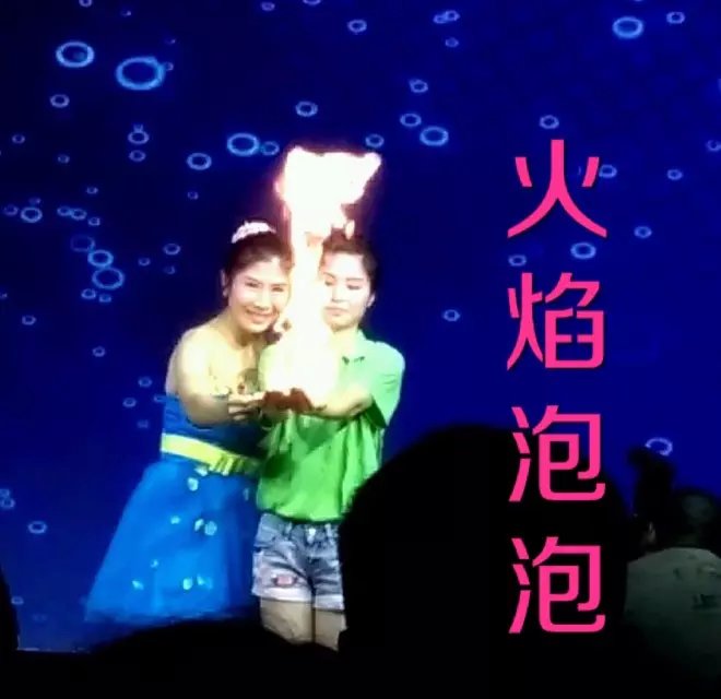 领航国际官方网站图片