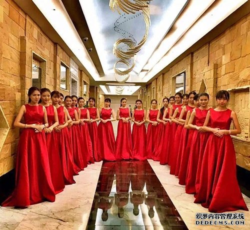礼仪公司好不好要这样进行判断 礼仪公司好不好要这样进行判断