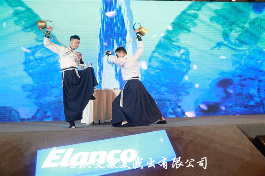领航国际官方网站图片