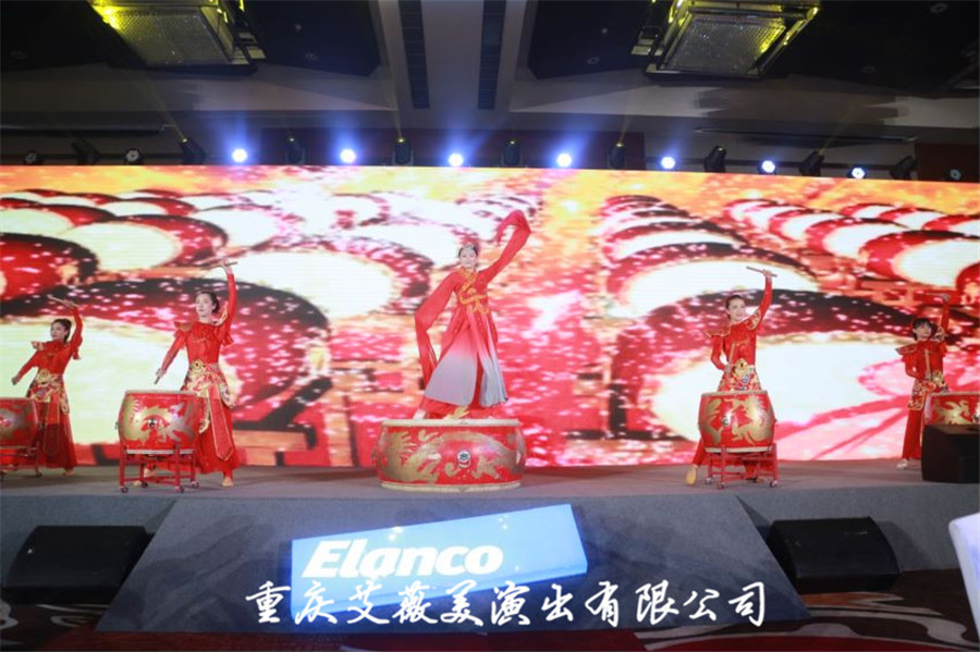 领航国际官方网站图片