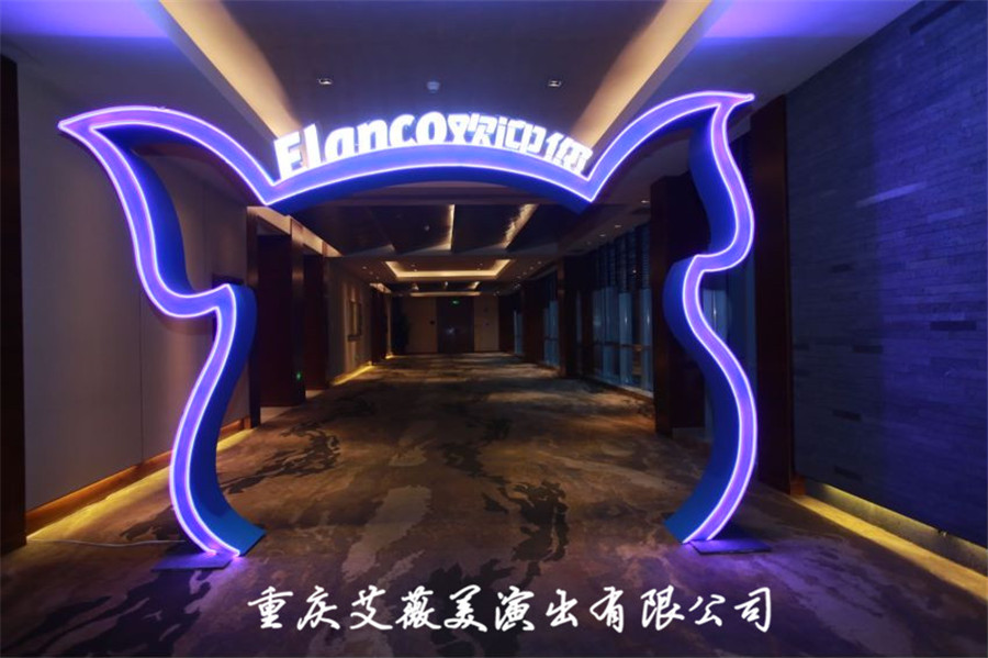 领航国际官方网站图片