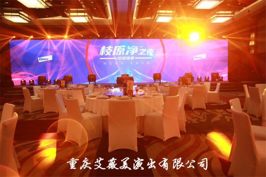领航国际官方网站图片