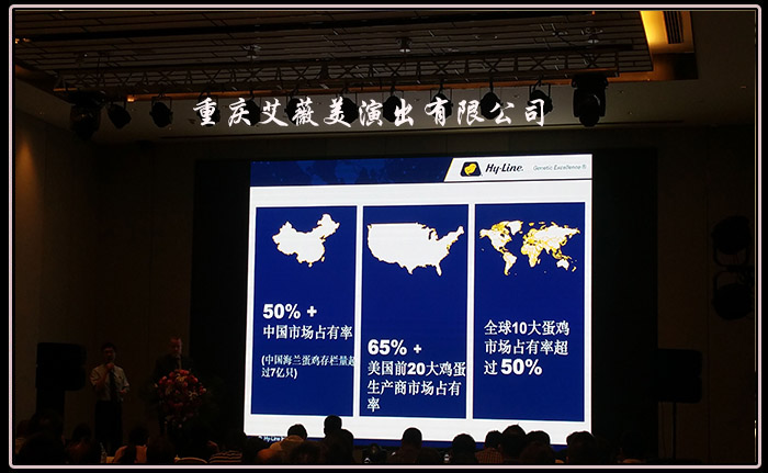 领航国际官方网站图片