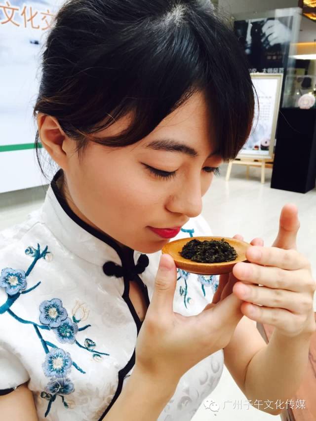 领航国际官方网站图片